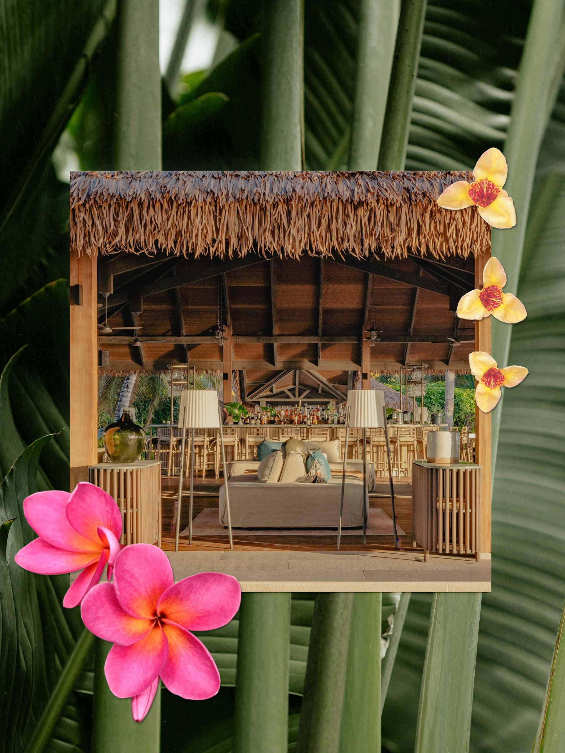 team-destinations-holding-seychelles-1 Images: Ivana Cajina, Alphonse Island Lodge