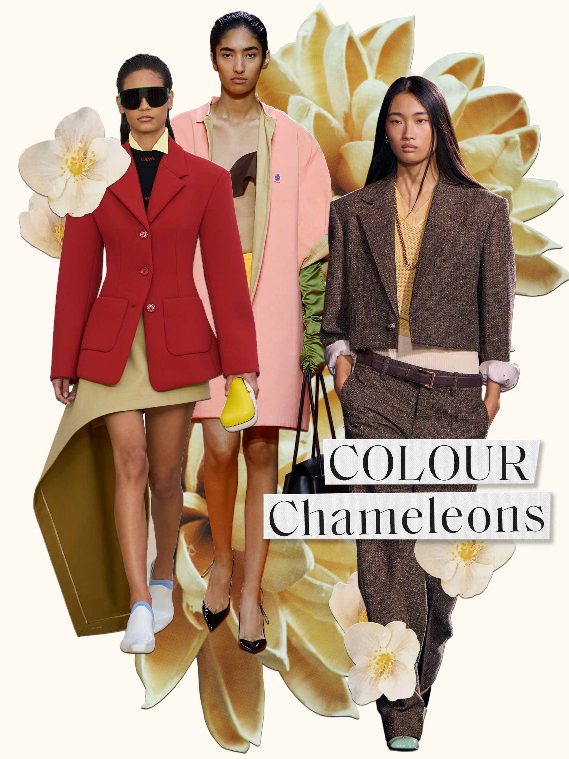 collage-holding-newseason-colours-2