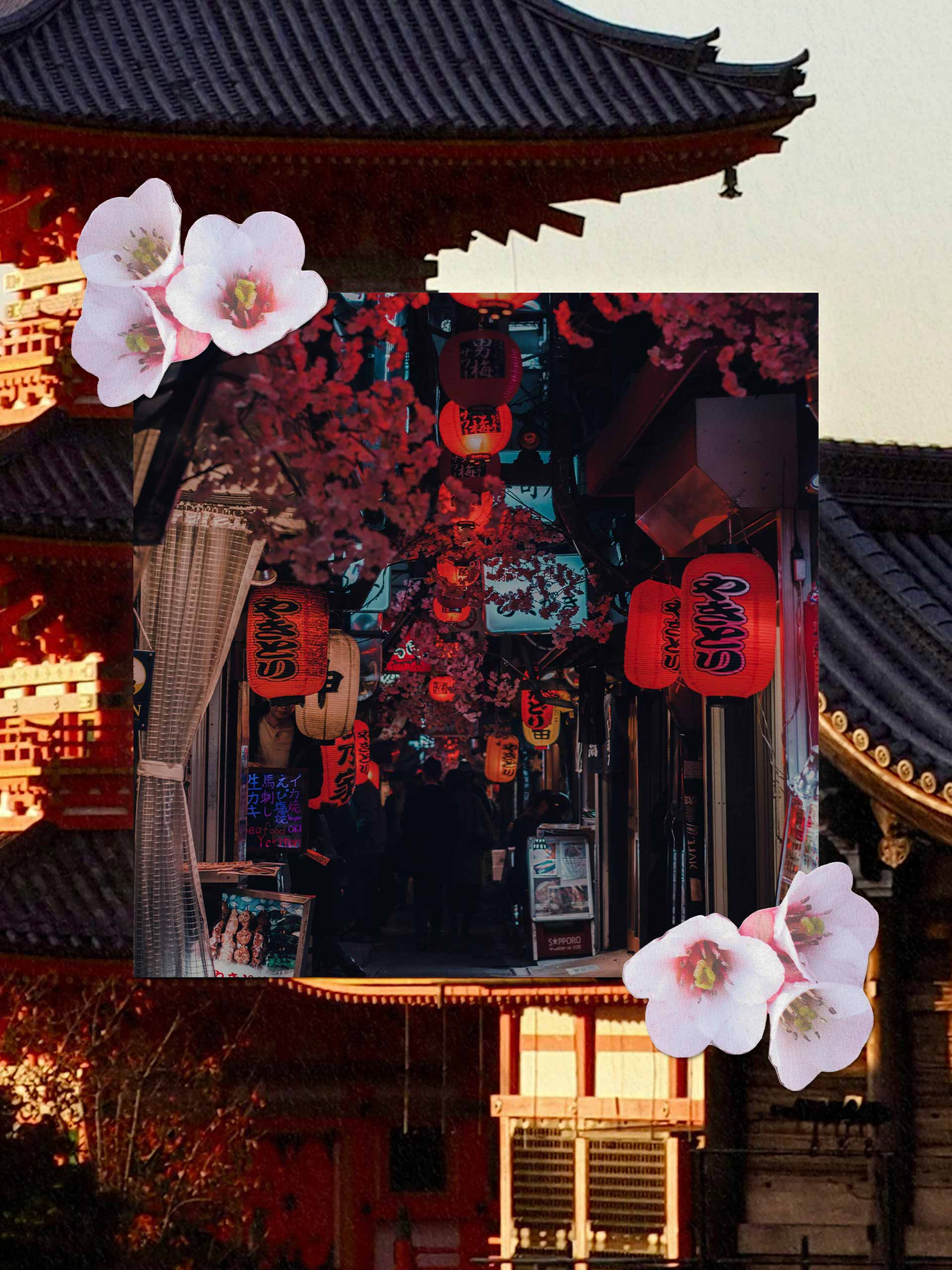 team-destinations-holding-japan-1 Images: Rye Cedlux, Sophie Keen