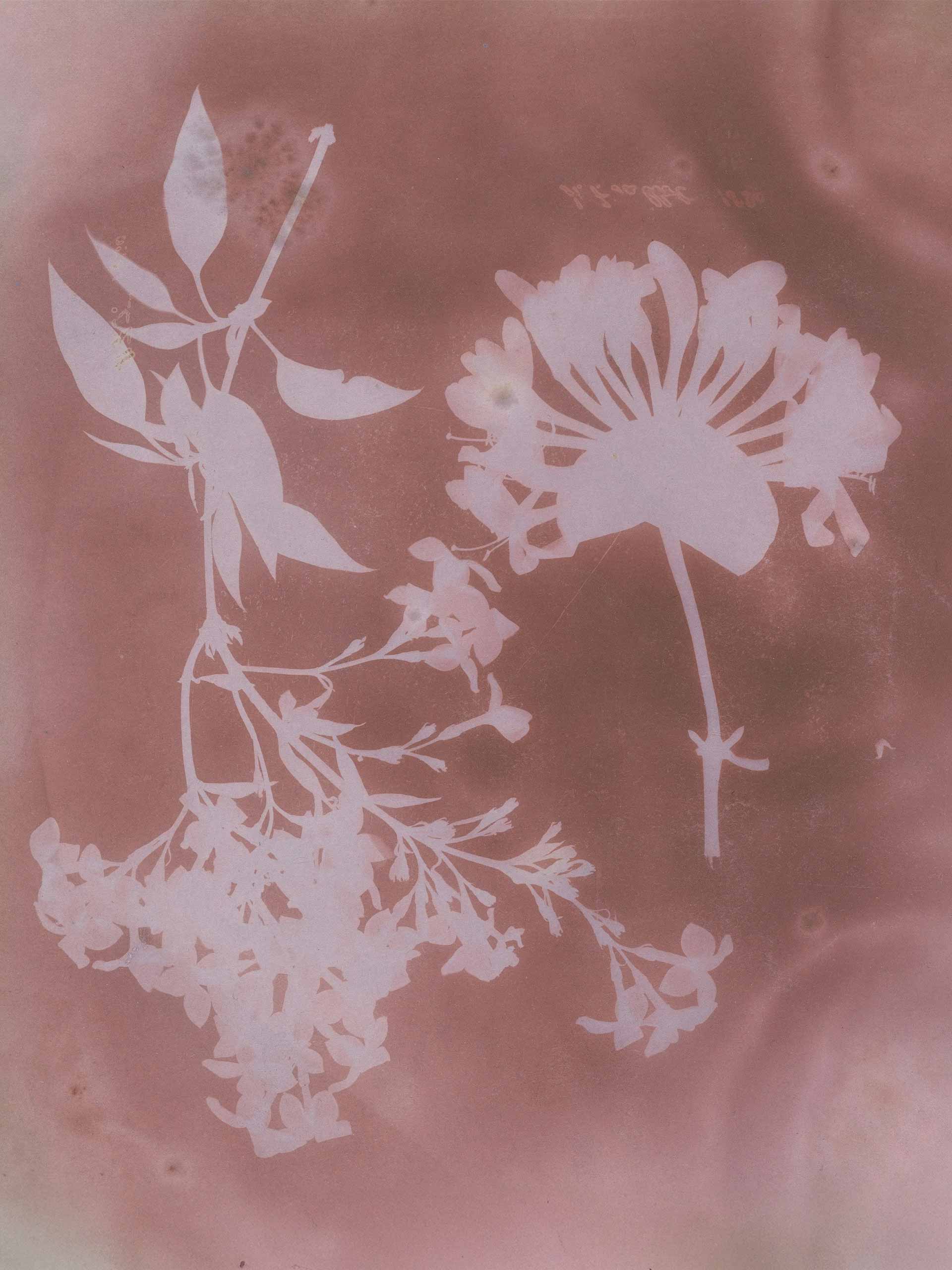 soft-power-palette-holding-art-institute-of-chicago Image: The Art Institute of Chicago