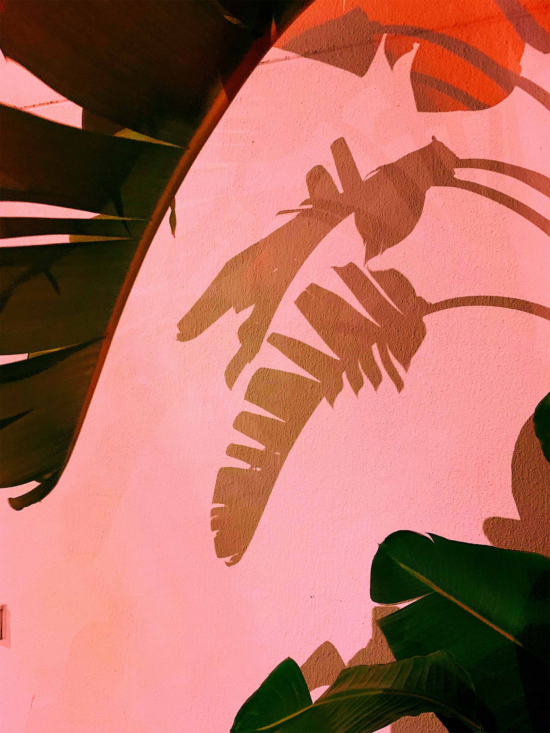 tropical-holding-andrei-slobtsov Image: Andrei Slobstov