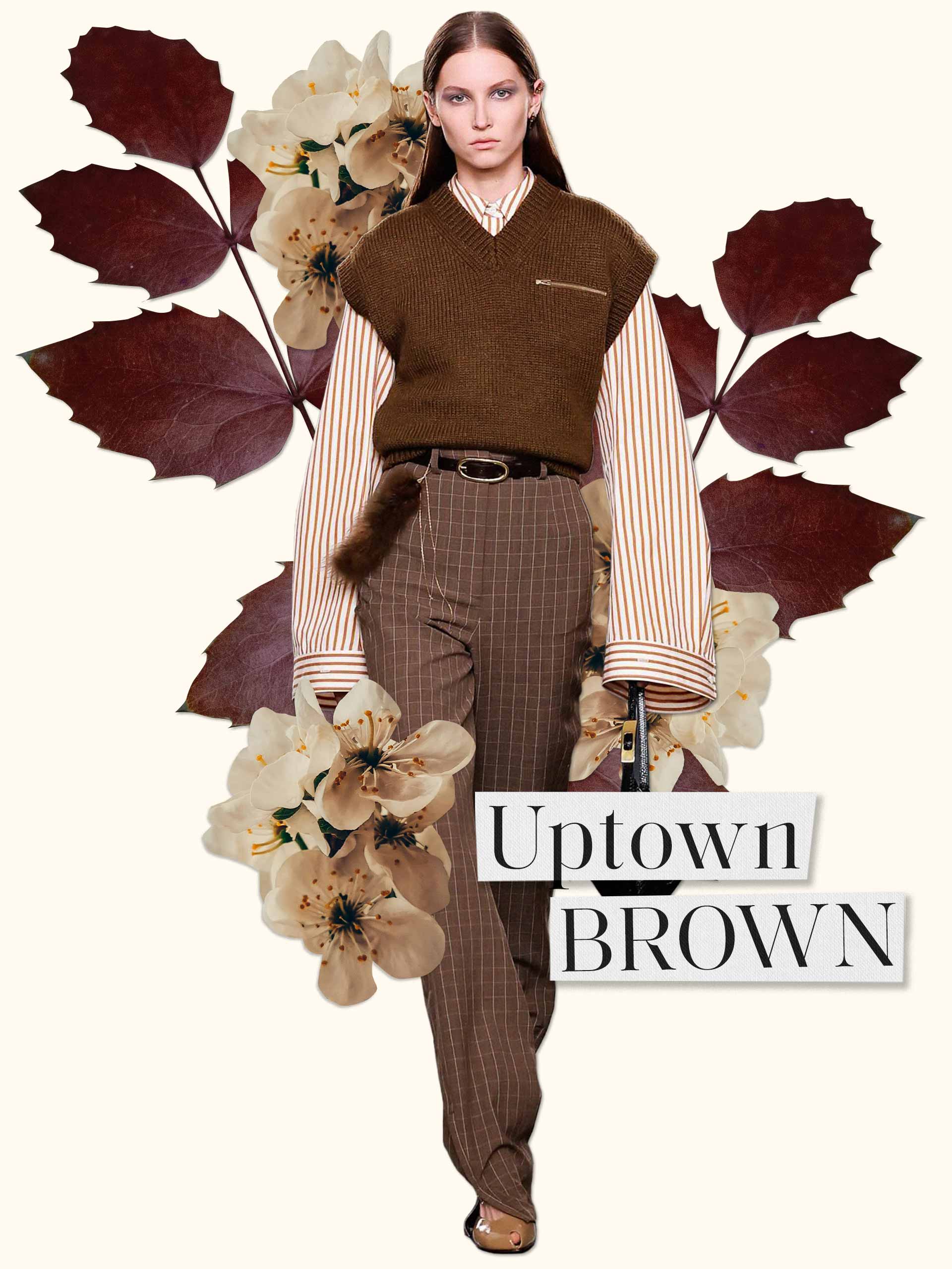 collage-holding-brown-1