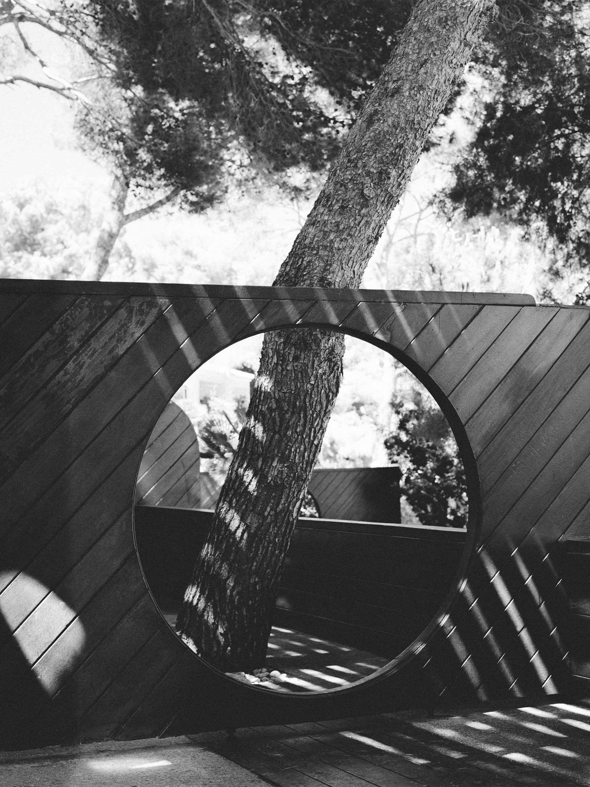 c-zarahome-campaign-17