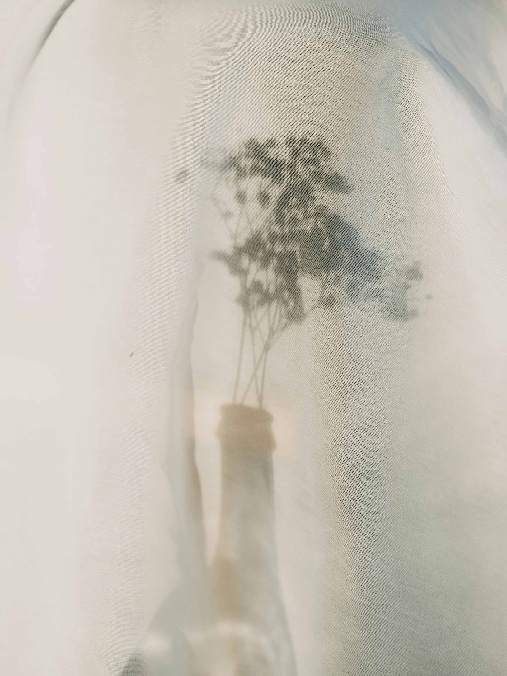 white-holding-mathilde-langevin-1 Image: Mathilde Langevin