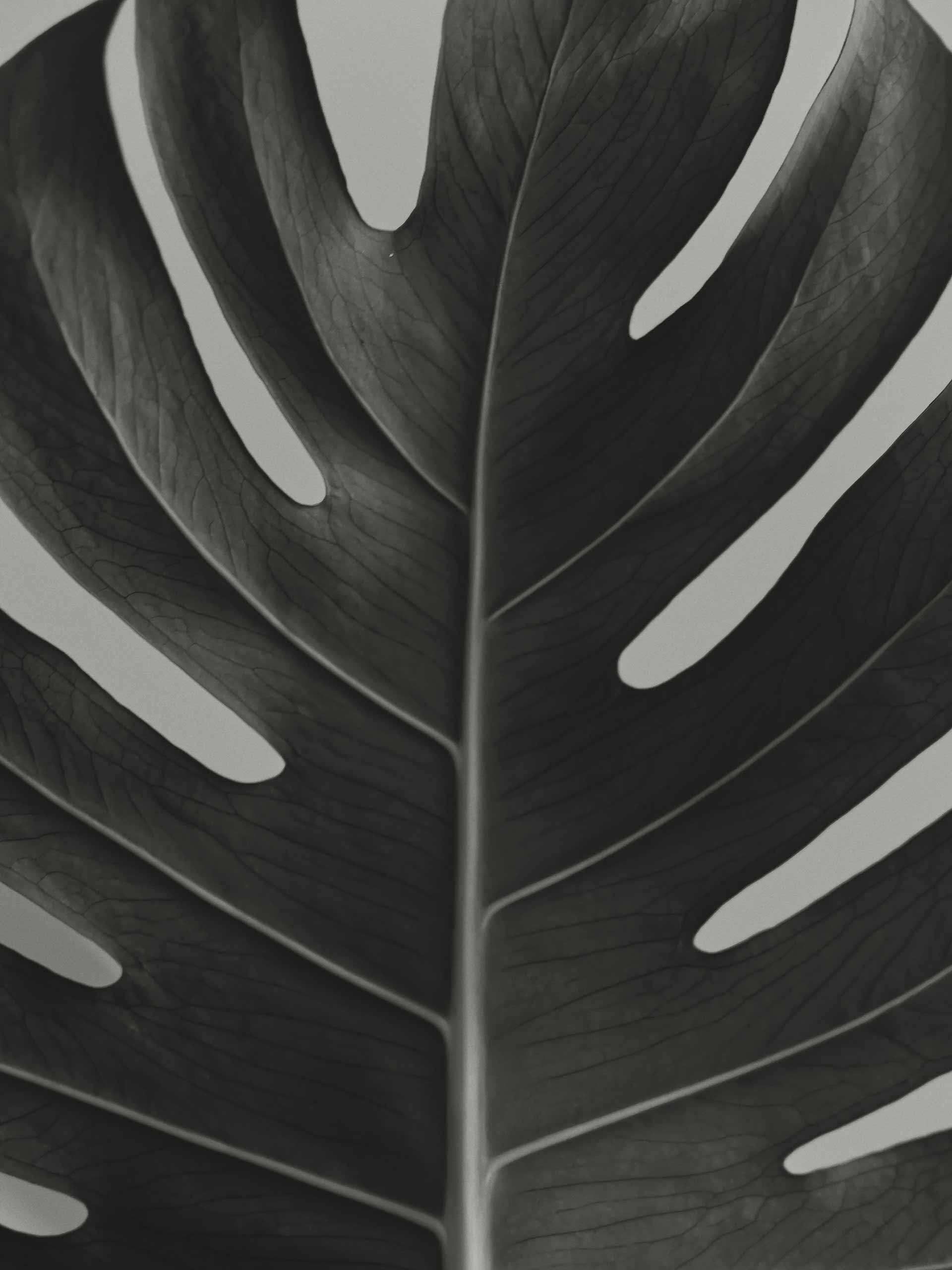 legris-holding-gryffyn-m Image: Gryffyn M