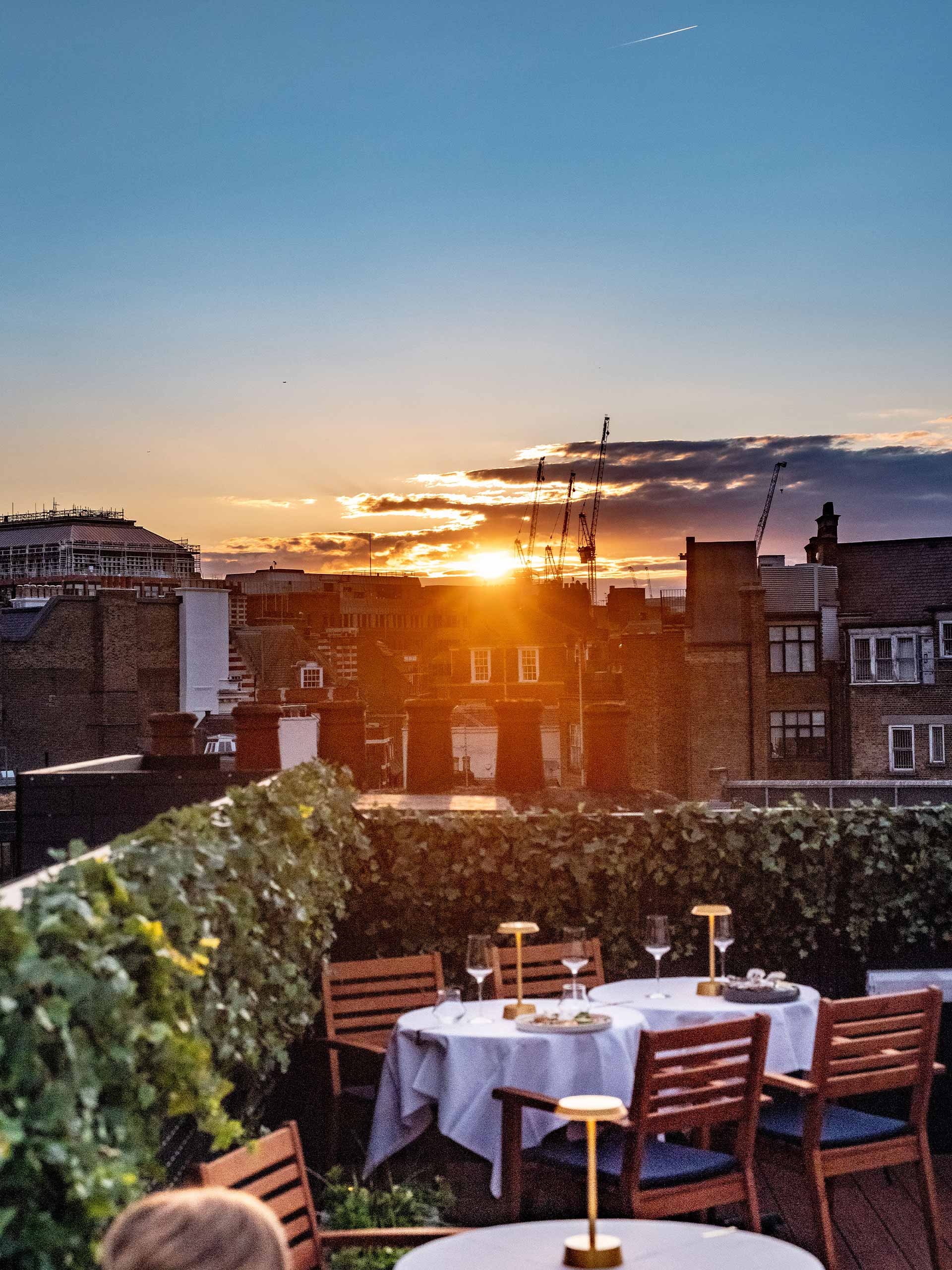 holding-the-sparrow Image: Sparrow Italia, Mayfair