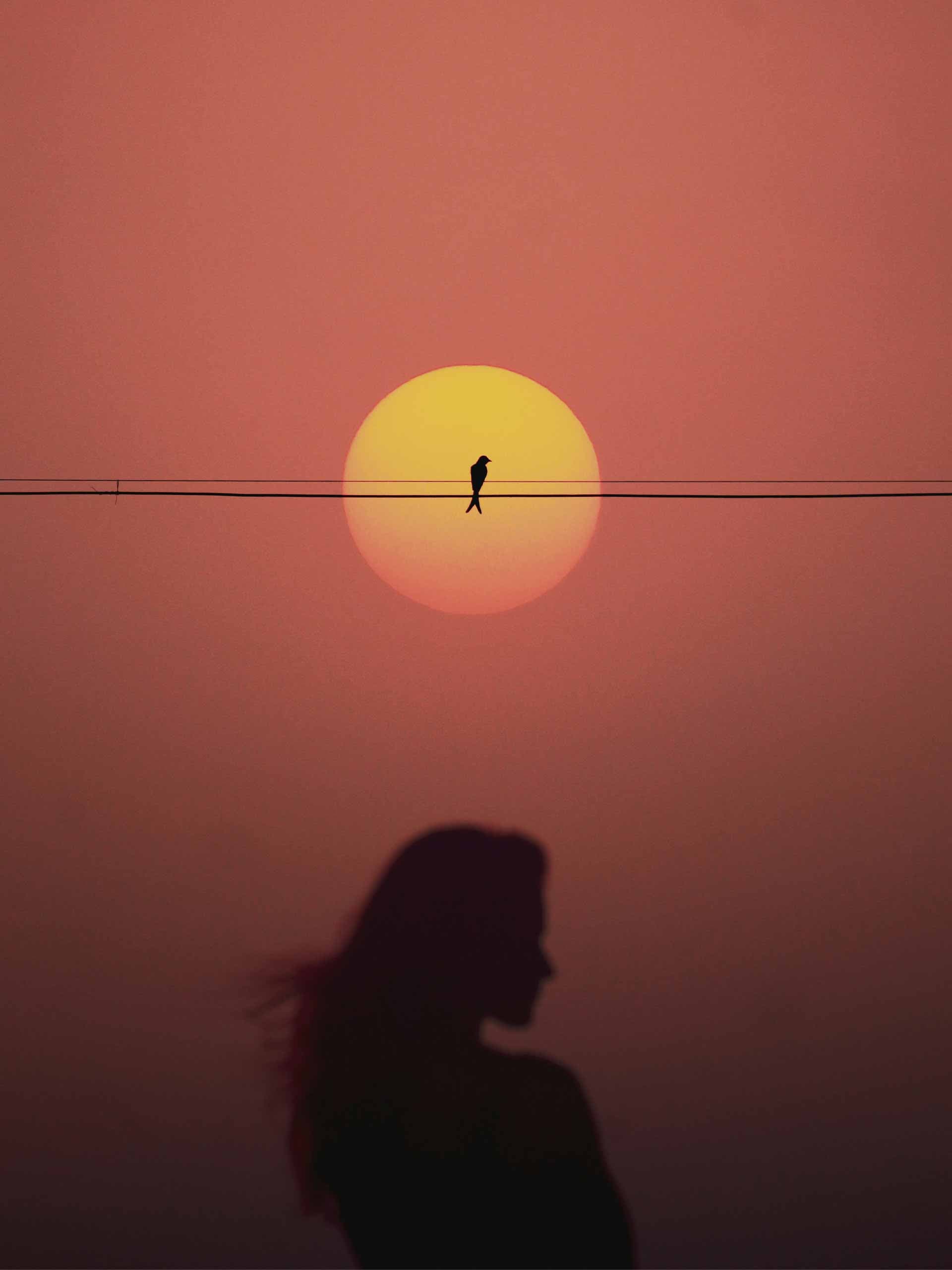 pinkred-holding-harsh-palkar